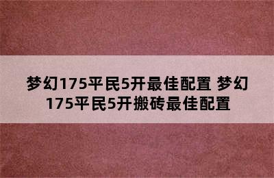 梦幻175平民5开最佳配置 梦幻175平民5开搬砖最佳配置